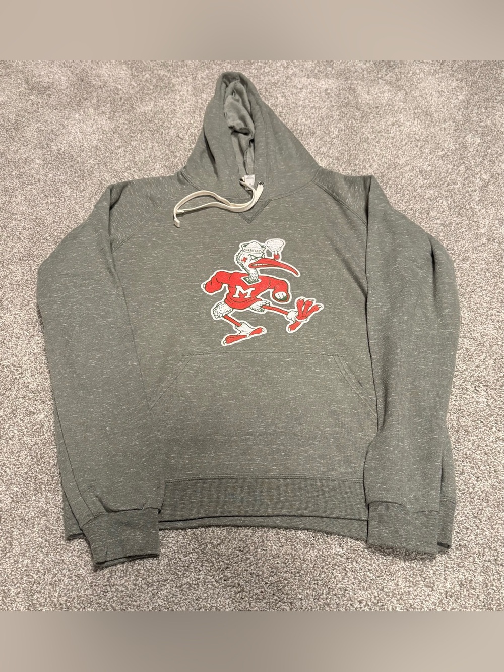 University of Miami Sage Hooded Sweatshirt